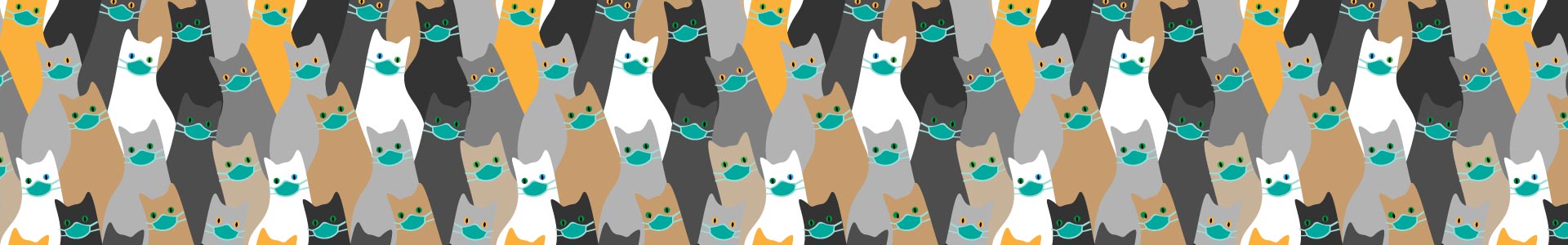 colourful cats wearing medical masks repeated graphic pattern